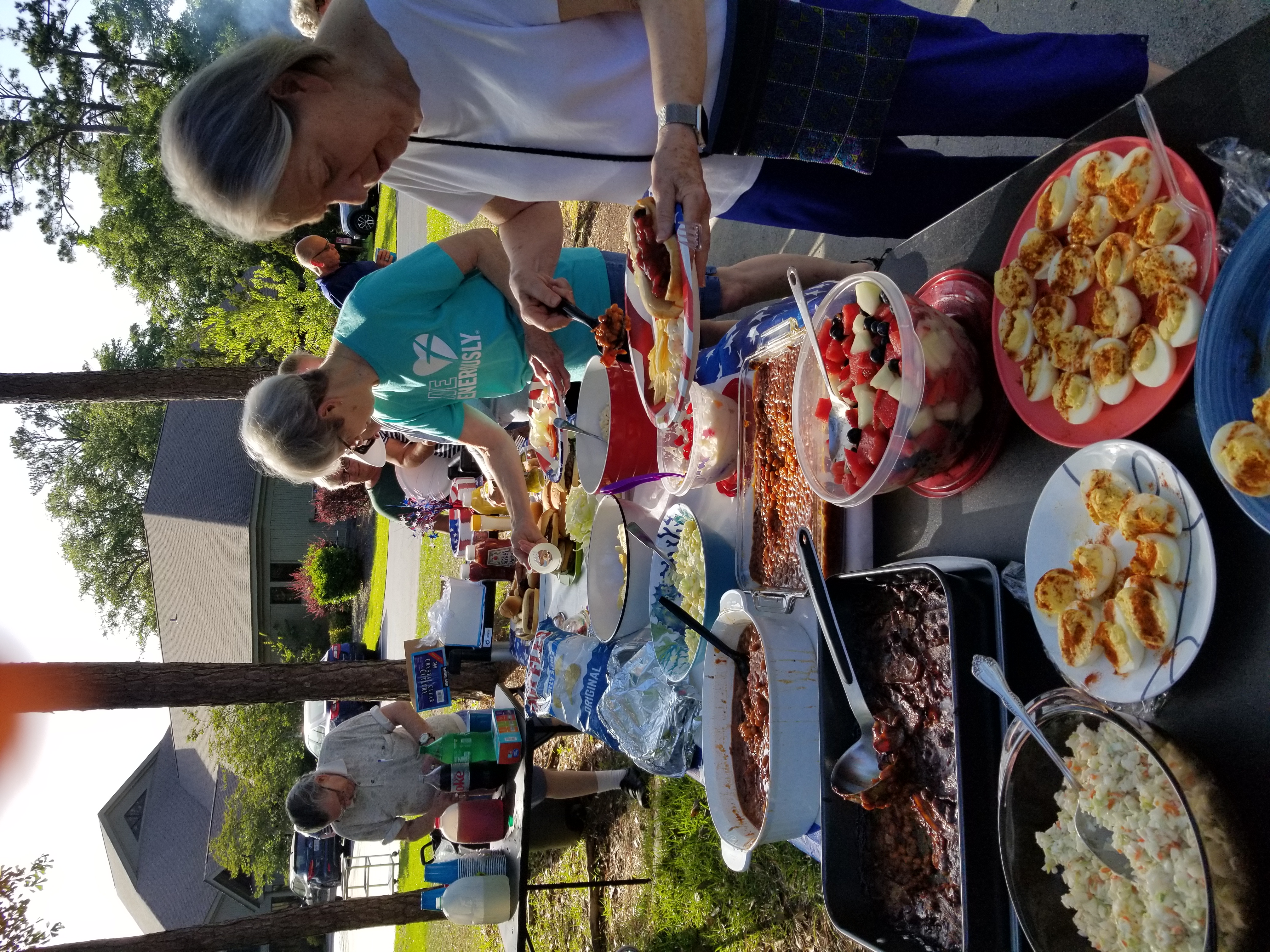 picnic gathering